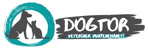 Dogtor Veteriner Kliniği logosu